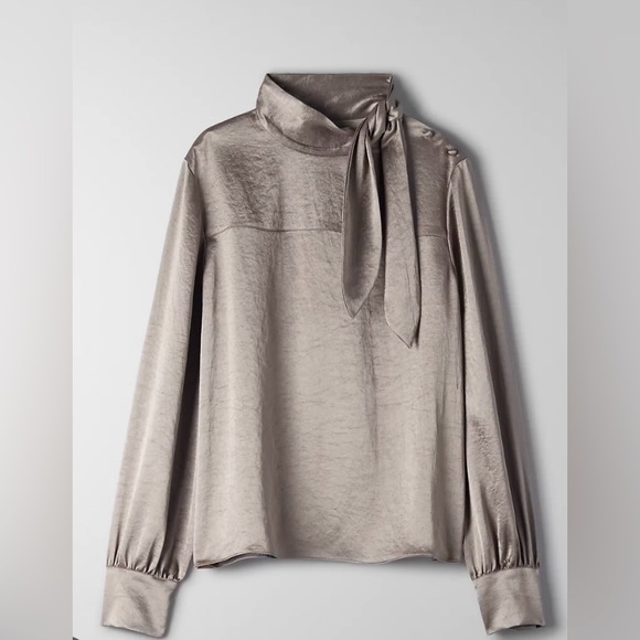 ARITZIA WILFRED Trapeze Blouse in Pine Bark - Picture 2 of 15